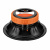 DL Audio Raven 200 DL Audio Raven 200